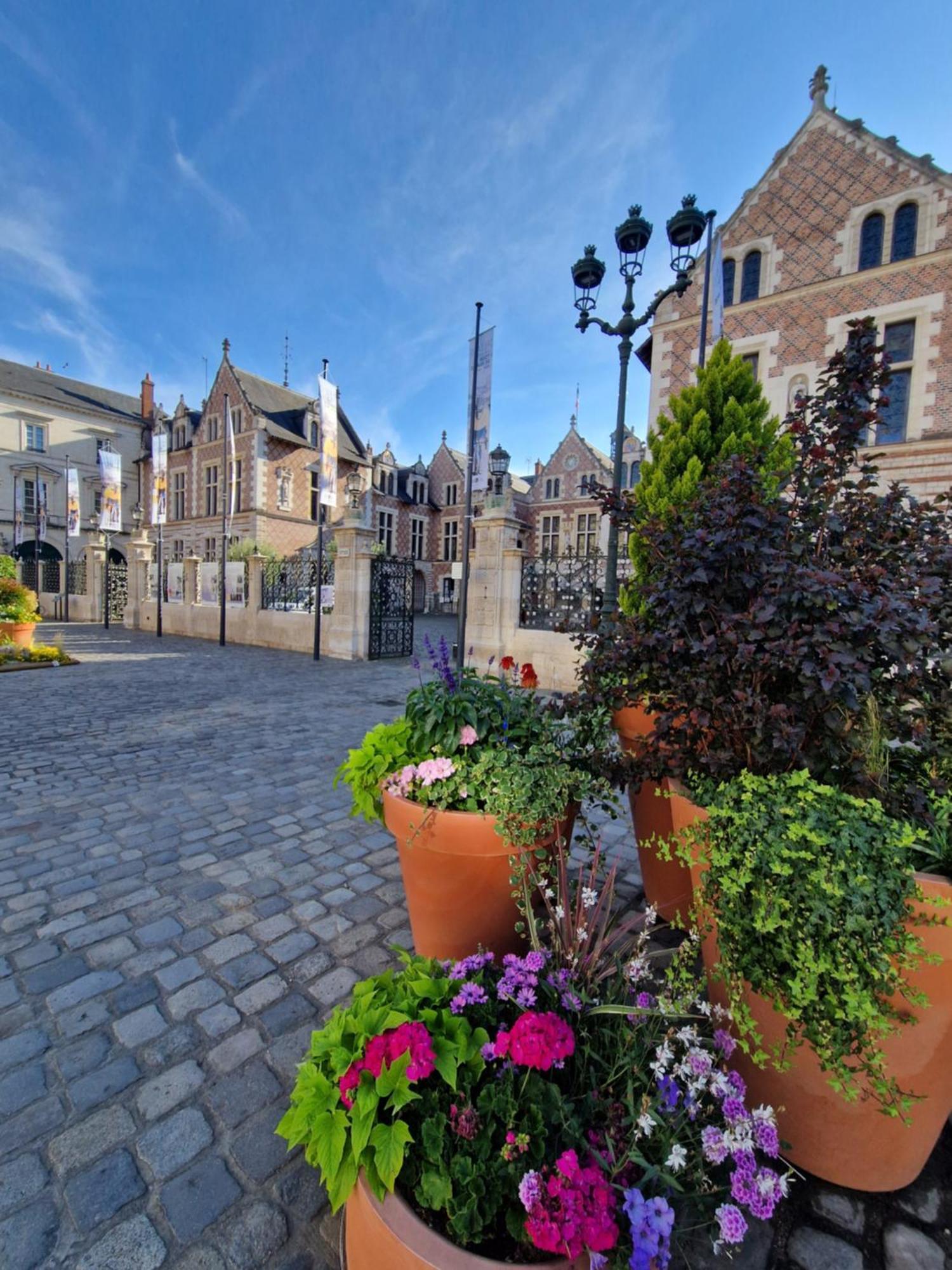 Bnb L'Orleanais Hyper Centre D'Orleans Proche Gare Parking Orléans Exterior foto